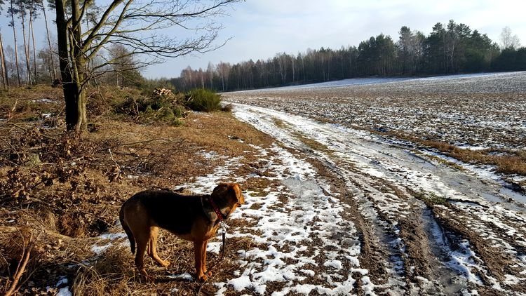 20190130_131305.jpg