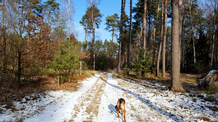 20190130_123613.jpg
