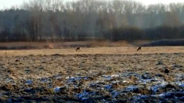 20190130_084553.jpg