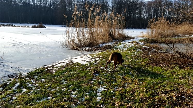 20190131_132016.jpg