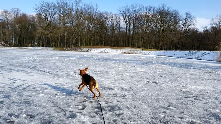 20190131_124849.jpg