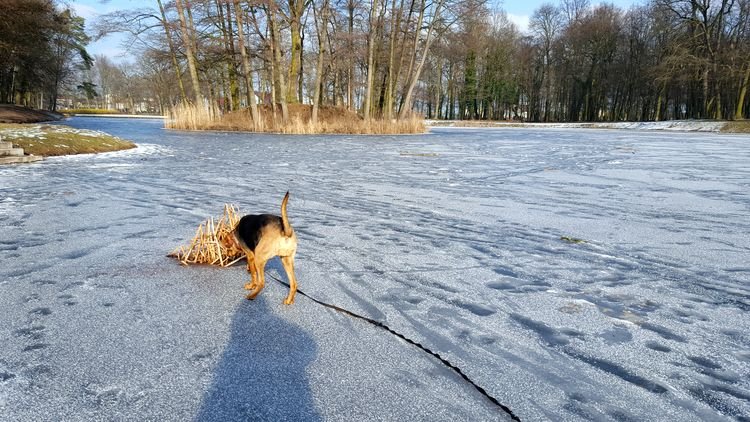 20190131_124903.jpg
