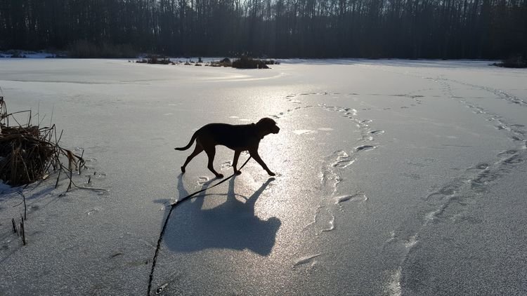 20190131_132425.jpg