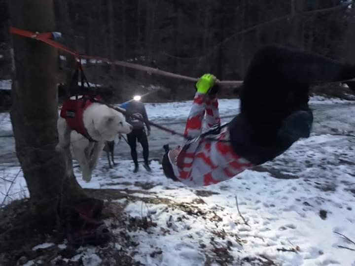 To zadanie ma jakąś nazwę, dla mnie było to przejście po linie i przeciągnięcie po niej psa (uwaga, na amortyzowanej smyczy i gdy się nie powoduje obniżenia liny swoją masą ;) bywa to trudniejsze)