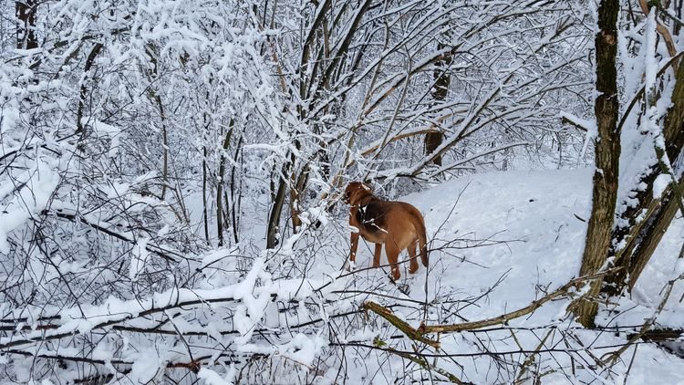 20190204_133651.jpg