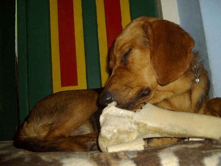 IMGP0999.JPG