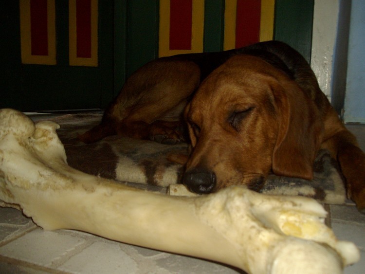IMGP1005.JPG