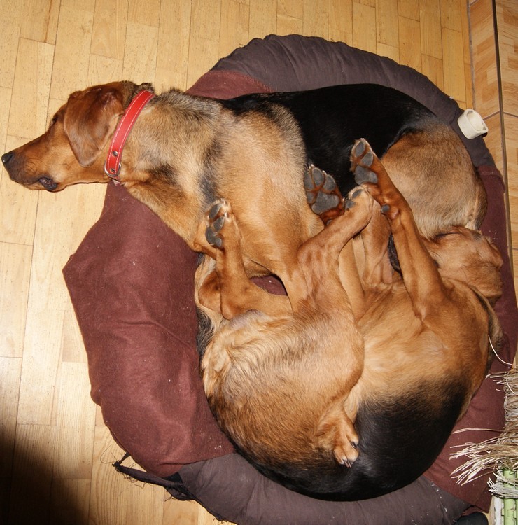 DSC00911.JPG
