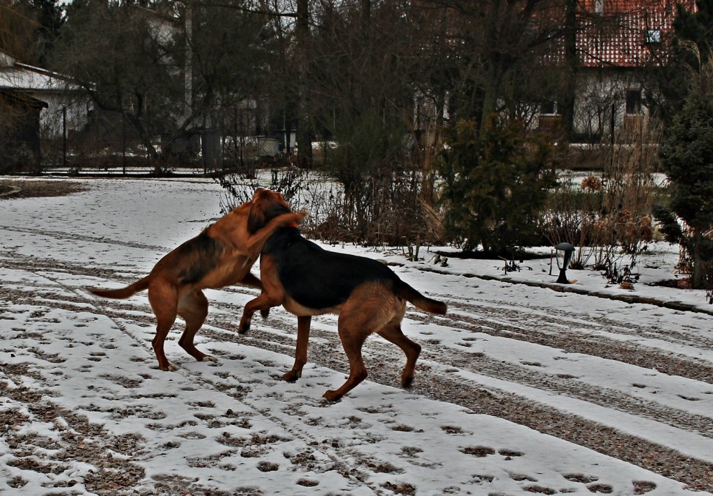 Znowu zapasy...