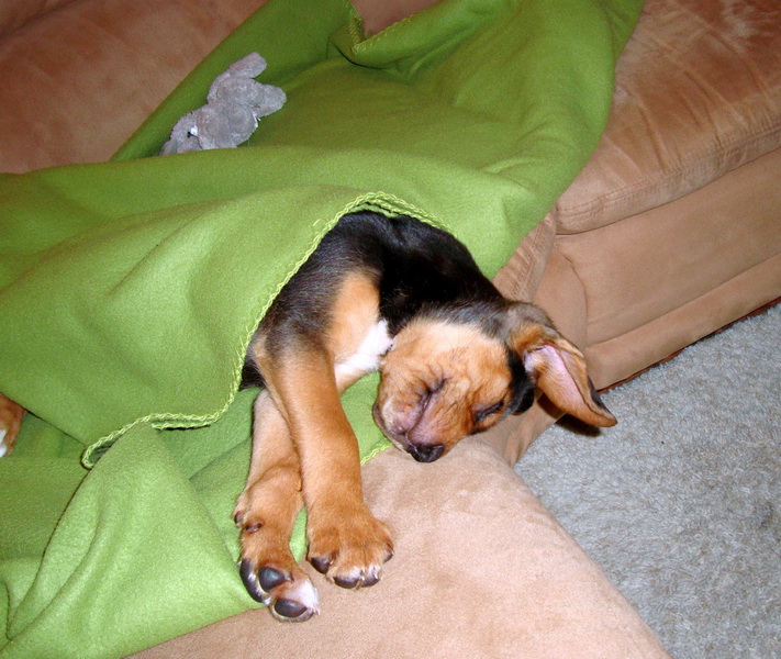 DSC05613_resize.JPG