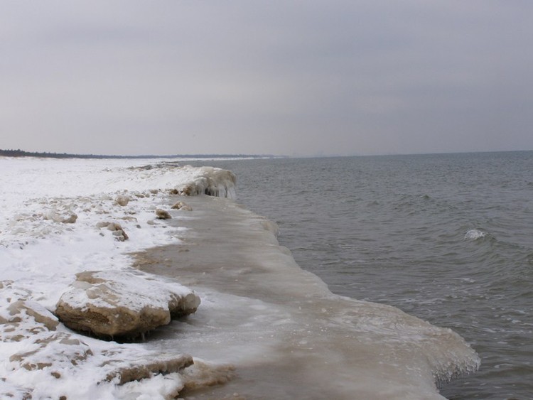 plaża.jpg