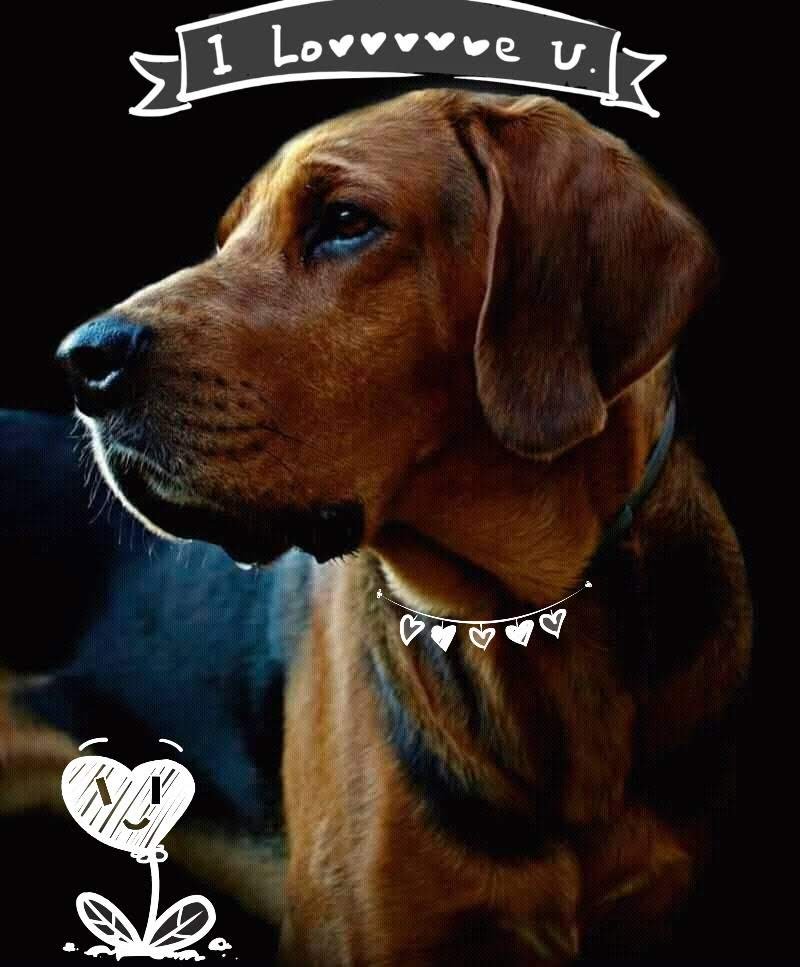 Korona dla Frajdy! Ale... Częstujcie się serduszkami Panie!