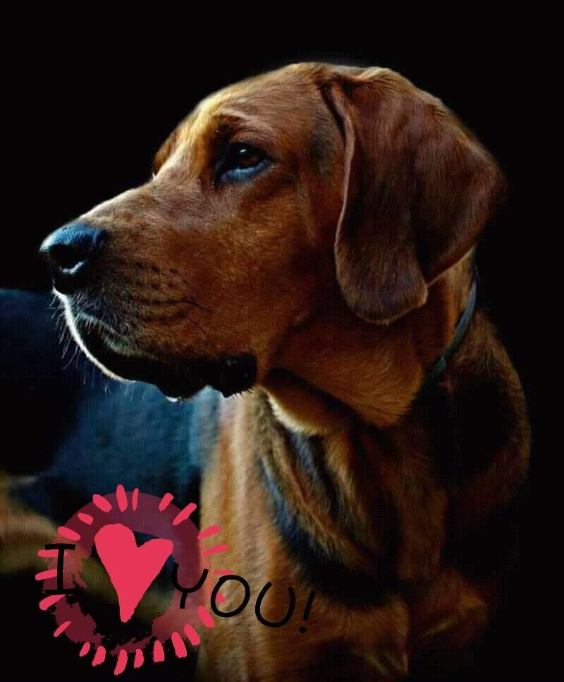 To dedykacja dla Kiry!