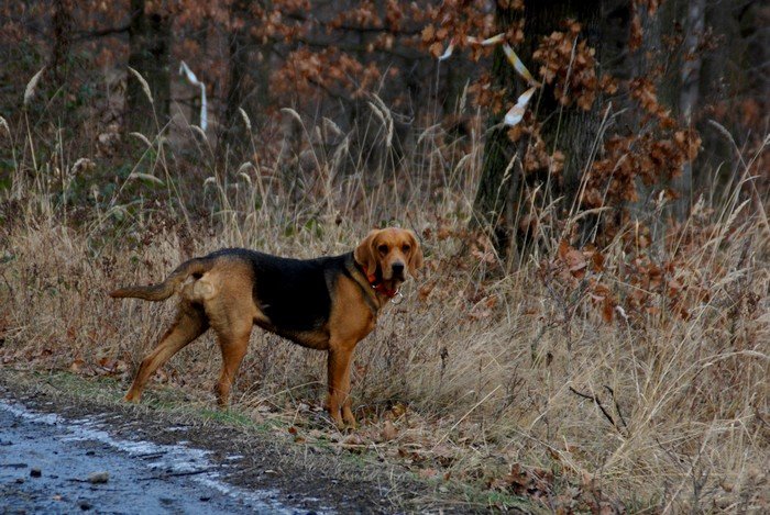 DSC_6382.JPG