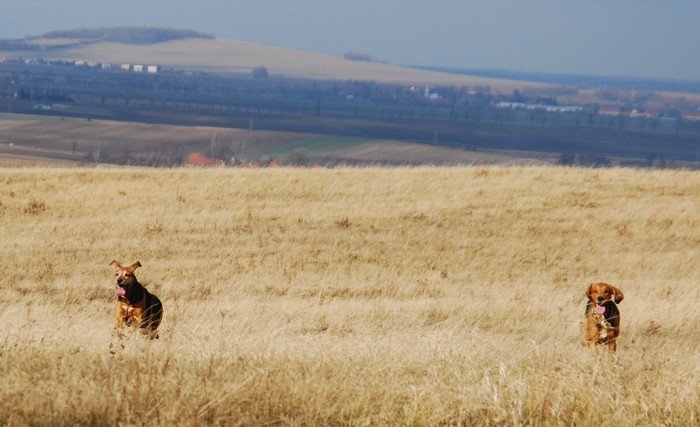 DSC_6396.JPG