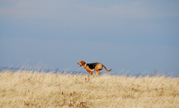 DSC_6399.JPG