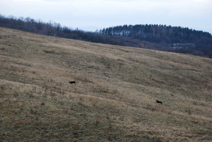 DSC_6417.JPG