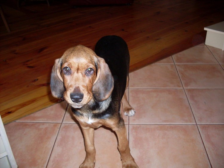 Trojka-październik 2008 103.jpg