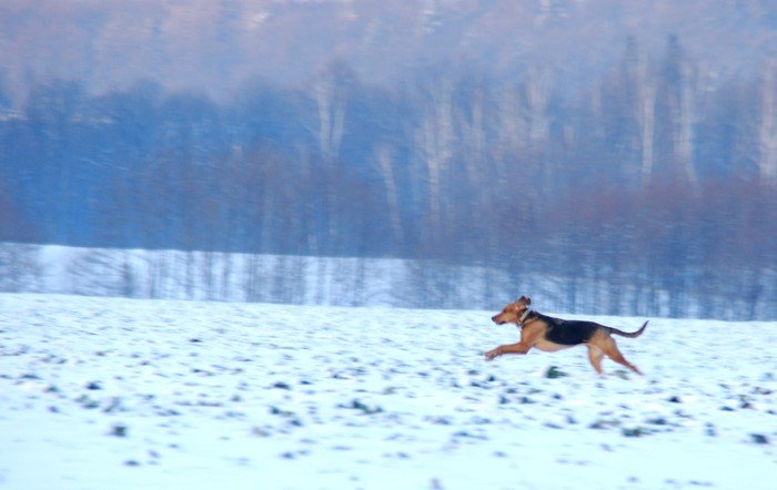 DSC_6441.JPG