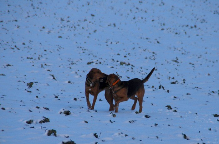 DSC_6459.JPG