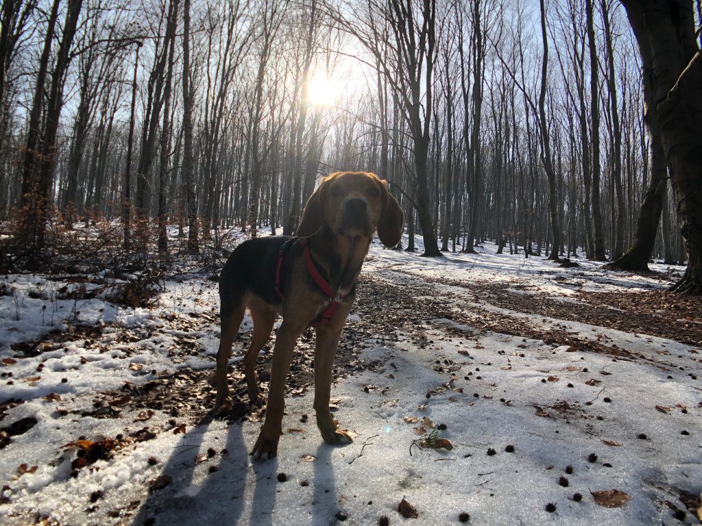 Honeyview_IMG_4868.jpg