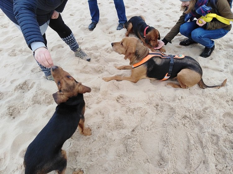 2019-02-17 14.15.29.jpg