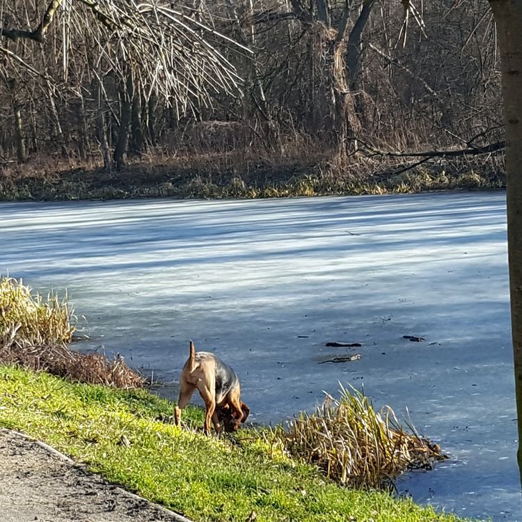 20190216_095852.jpg