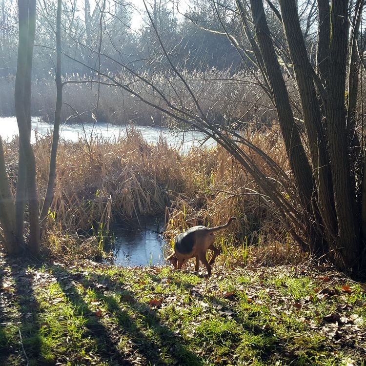 20190216_095723.jpg