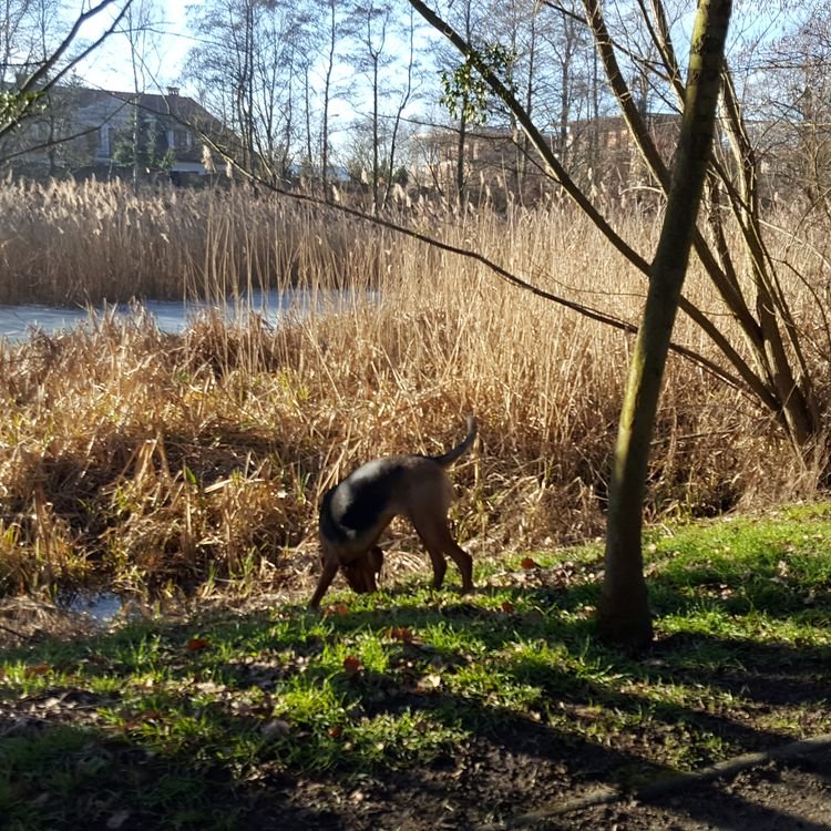 20190216_095714.jpg