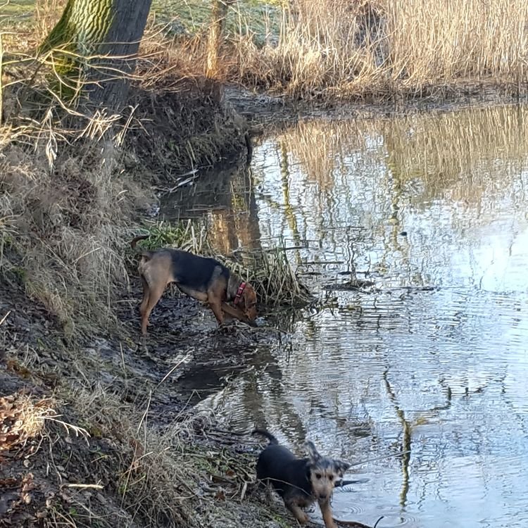 20190216_101636.jpg