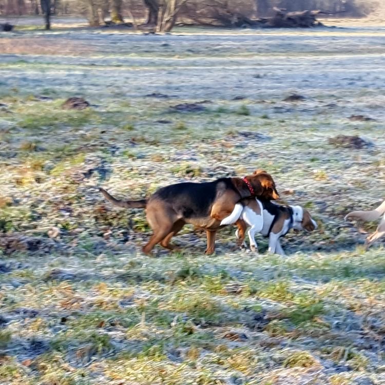 20190216_093649.jpg