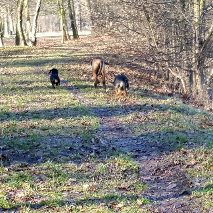 20190216_101804.jpg
