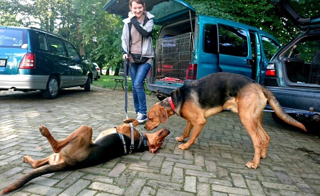Fuksja (Lara) i Ford Pierwsze spotkanie po długim czasie.