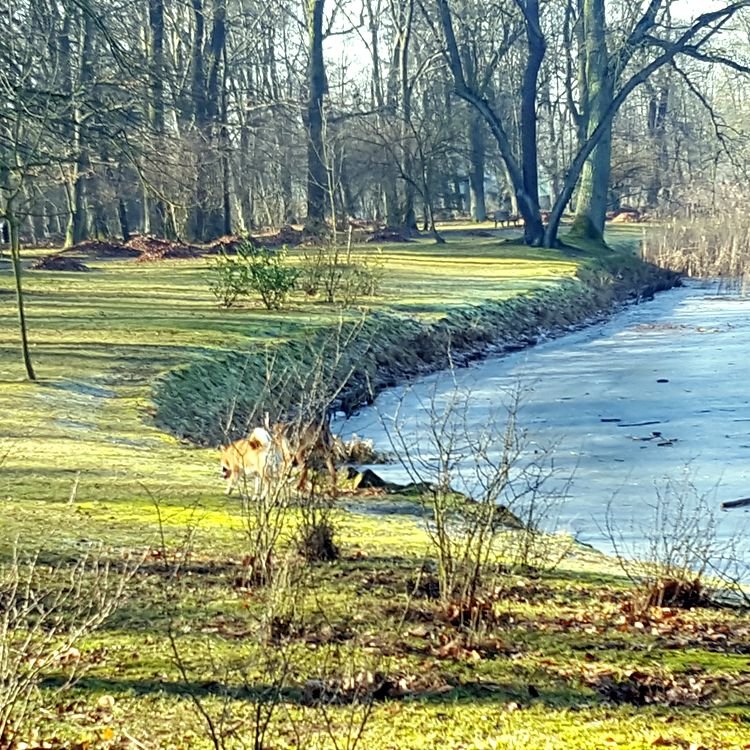 Wspólny wypad nad staw