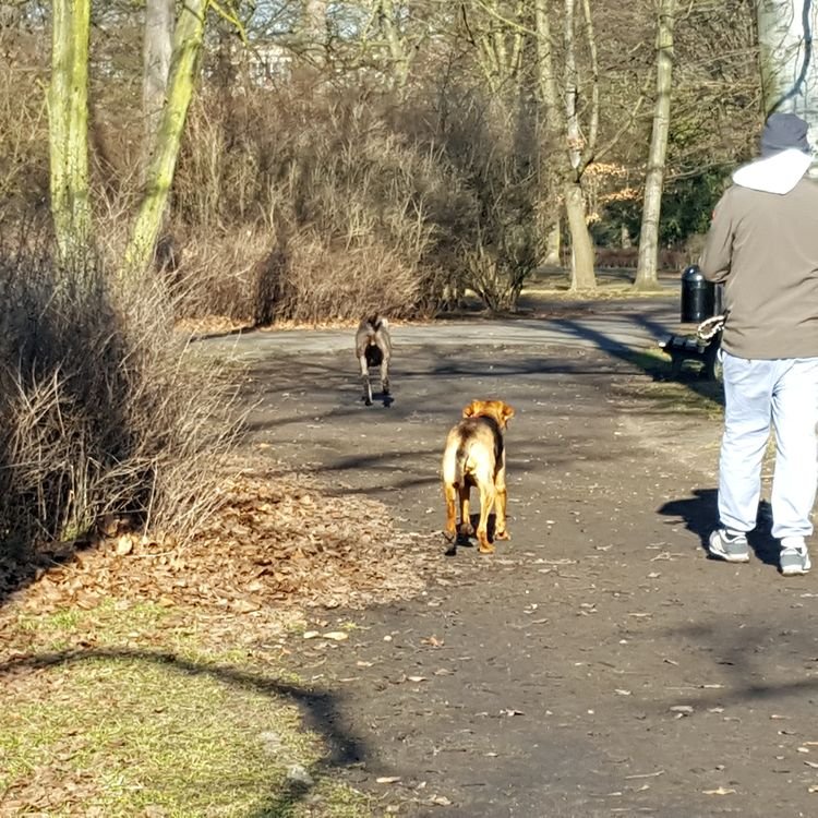 20190217_100412.jpg