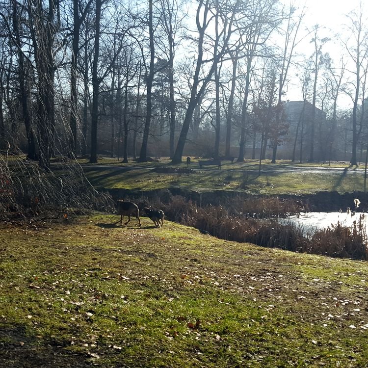 20190217_102212.jpg