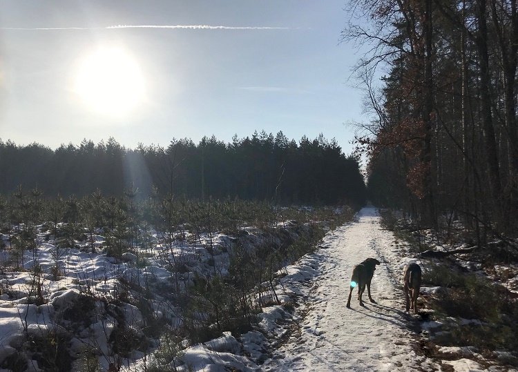 Towarzystwo :)