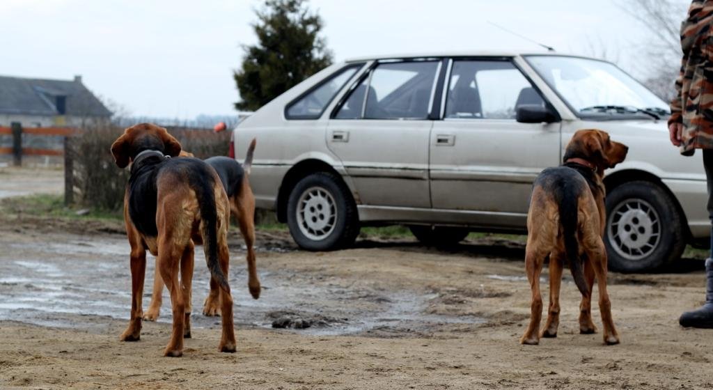 Tęskne spojrzenie w dal... Ford schował się za... a z prawej strony to...