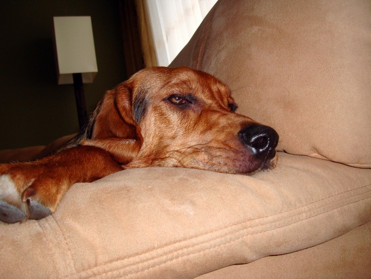DSC09158_resize.JPG