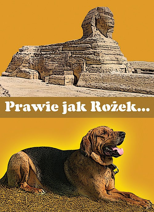 Rozek_2009.jpg