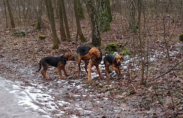 burza enduro.jpg