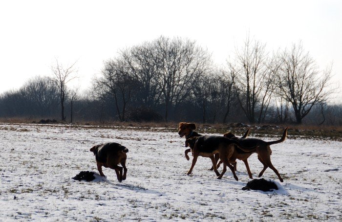DSC_6475.JPG
