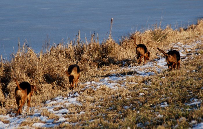 DSC_6532.JPG