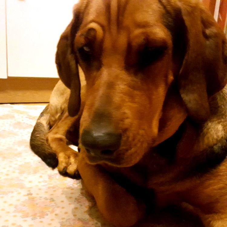 20190216_222425.jpg