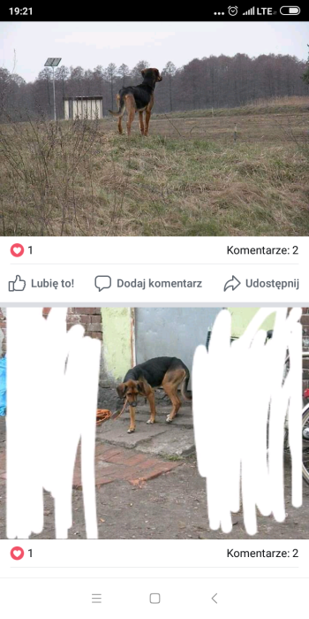 Screenshot_2019-02-26-19-21-23-856_com.facebook.katana.png