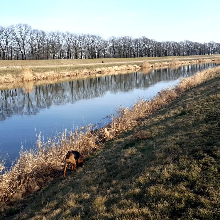 20190215_132310.jpg