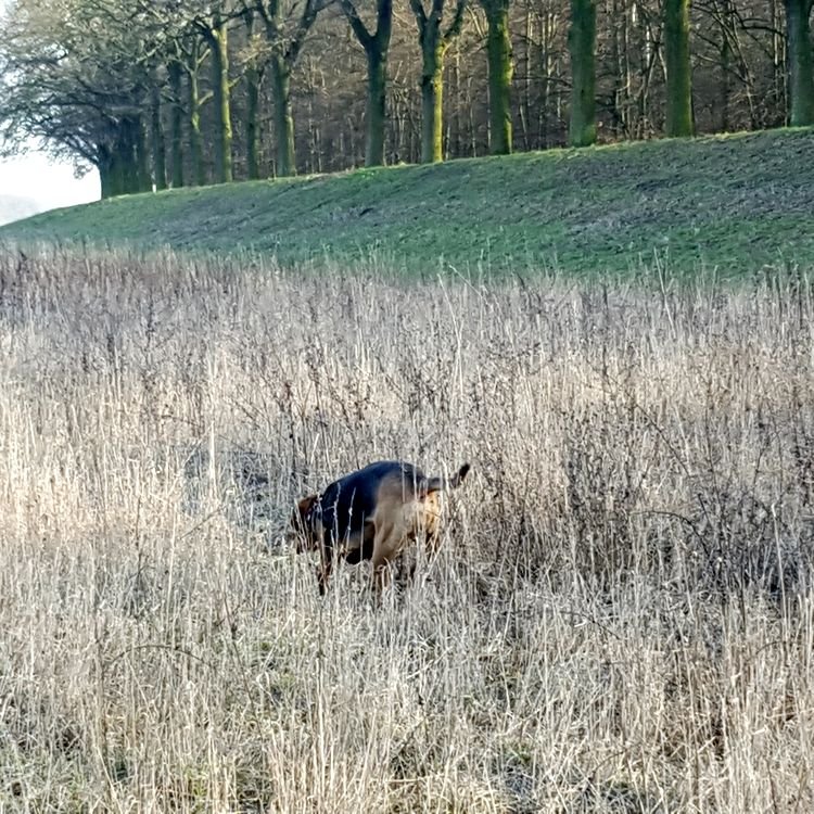 20190218_145355.jpg