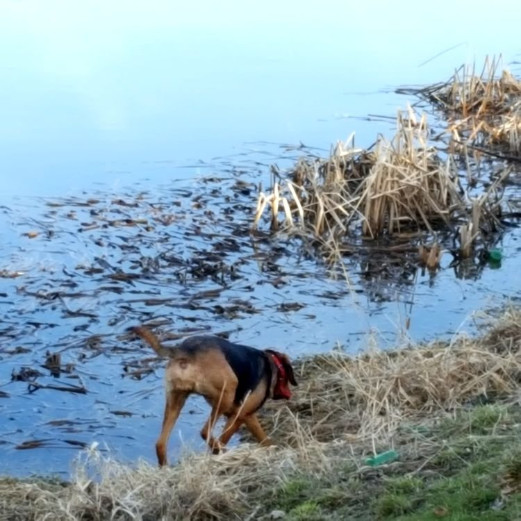 20190218_150127.jpg