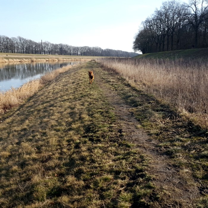 20190215_132452.jpg