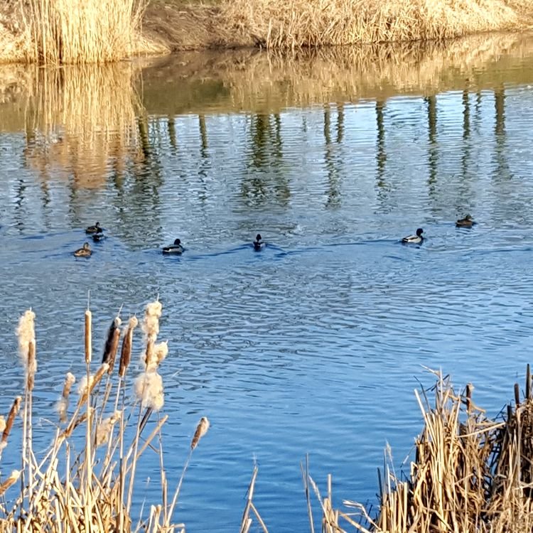 20190218_145803.jpg